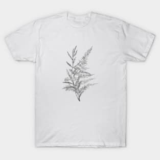 Hand-drawn leaf of fern and branch T-Shirt